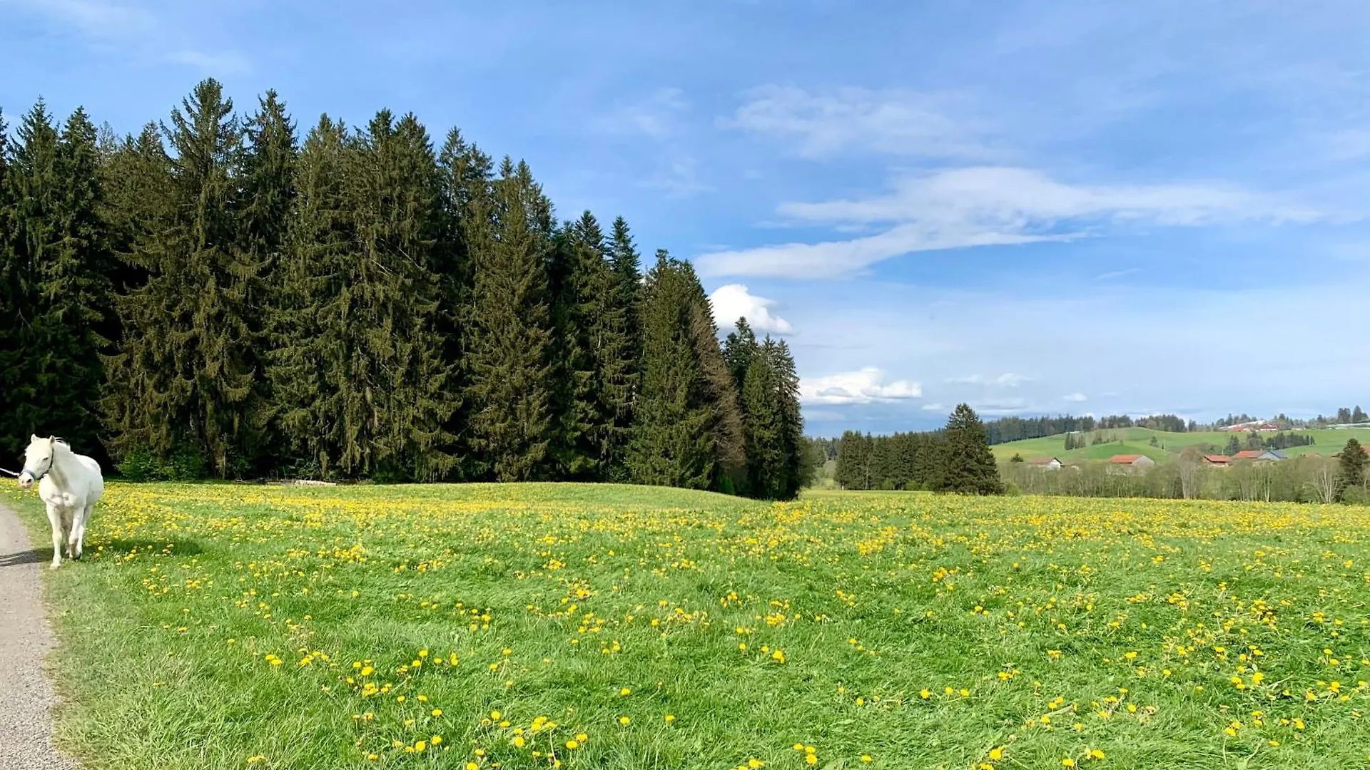 Lindners Hideaways - Bergnest Lodge - Bergblick Fewo 6 Pers Balkon Garten Hund Ski Unterkunft Luftkurort Oberreute Naehe Buchenegger Wasserfaelle Eistobel Bodensee Germany