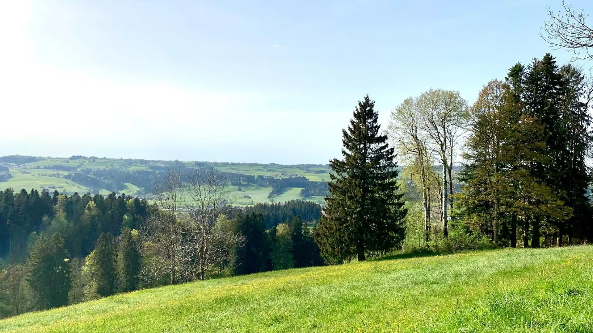 Lindners Hideaways - Bergnest Lodge - Bergblick Fewo 6 Pers Balkon Garten Hund Ski Unterkunft Luftkurort Oberreute Naehe Buchenegger Wasserfaelle Eistobel Bodensee Apartment
